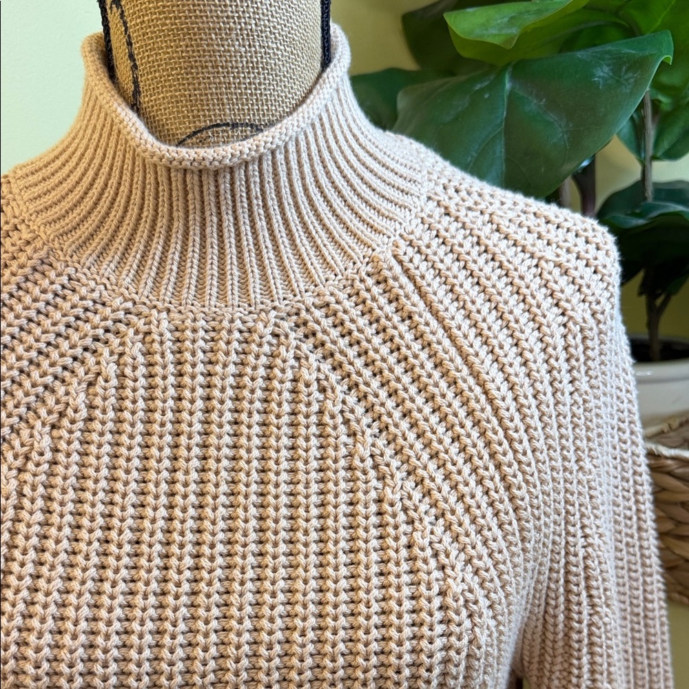 NWT J. Crew Relaxed Rollneck Sweater Sandy Beach Sz XS - Picture 2 of 5